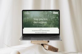 A Wiser Website Portfolio